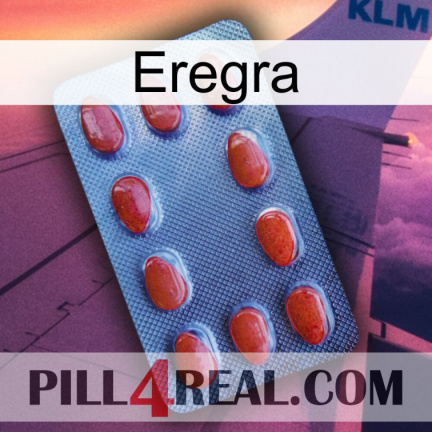 Eregra 06